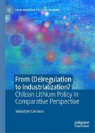 Sebastián Carrasco - From (De)regulation to Industrialization?