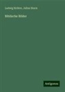 Ludwig Richter, Julius Sturm - Biblische Bilder