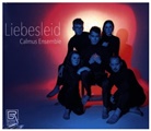 Johannes Brahms, Calmus Ensemble, Leonard Cohen, Leonard Grabbe Cohen, Hugo Distler, Johann Grabbe... - Liebesleid, 1 Audio-CD (Hörbuch)