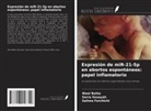 Wael Bahia, Salima Ferchichi, Sarra Souayah - Expresión de miR-21-5p en abortos espontáneos: papel inflamatorio