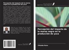 Chizoba Kanu - Percepción del impacto de la marea negra en la producción de yuca