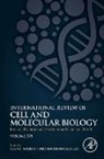 Ionizing Radiation and the Immune Response - Part B: Volume 378