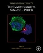 The Immunological Synapse - Part B: Volume 178