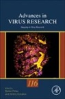 Imaging in Virus Research: Volume 116