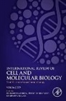 Viral Vectors in Cancer Immunotherapy: Volume 379
