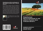 Hannachi Abdelhakim, Zouiten Khaoula, Khorief Maissa - Modellazione dell'accestimento in una coltura di grano duro Triticum durum L