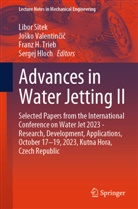 Sergej Hloch, Libor Sitek, Franz H. Trieb, Jo¿ko Valentin¿i¿, Josko Valentincic - Advances in Water Jetting II