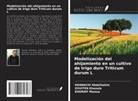 Hannachi Abdelhakim, Zouiten Khaoula, Khorief Maissa - Modelización del ahijamiento en un cultivo de trigo duro Triticum durum L
