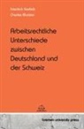 Friedrich Kreifels, Charles Murisier - Arbeitsrechtliche Unterschiede zwischen Deutschland und der Schweiz