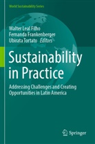 Fernanda Frankenberger, Walter Leal Filho, Ubirata Tortato - Sustainability in Practice