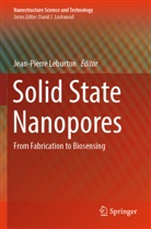 Jean-pierre Leburton - Solid State Nanopores