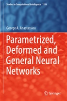George A Anastassiou, George A. Anastassiou - Parametrized, Deformed and General Neural Networks