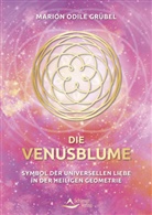 Marion Odile Grübel - Die Venusblume