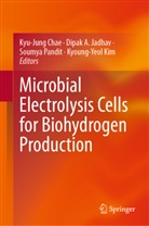 Dipak A Jadhav, Kyu-Jung Chae, Dipak A. Jadhav, Kyoung-Yeol Kim, Soumya Pandit, Soumya Pandit et al - Microbial Electrolysis Cells for Biohydrogen Production