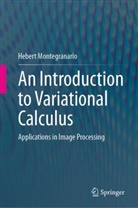 Hebert Montegranario - An Introduction to Variational Calculus
