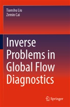 Zemin Cai, Tianshu Liu - Inverse Problems in Global Flow Diagnostics