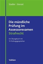 Tobias Stadler, Martin Stenzel - Die mündliche Prüfung im Assessorexamen Strafrecht