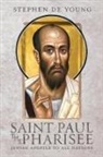 Stephen de Young - Saint Paul the Pharisee