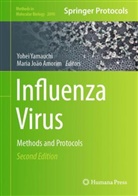 Maria João Amorim, João Amorim, Yohei Yamauchi - Influenza Virus