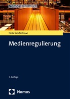 Hardy Gundlach - Medienregulierung
