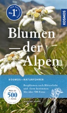 Ansgar Hoppe - Blumen der Alpen