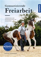 Marius Schneider - Gymnastizierende Freiarbeit
