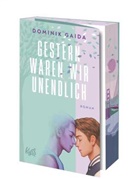 Dominik Gaida - Gestern waren wir unendlich