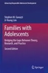 Stephen M Gavazzi, Stephen M. Gavazzi, Ji-Young Lim - Families with Adolescents