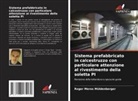Roger Meros Müldenberger - Sistema prefabbricato in calcestruzzo con particolare attenzione al rivestimento della soletta PI