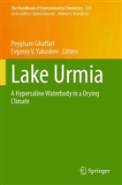 Peygham Ghaffari, V Yakushev, Evgeniy V. Yakushev - Lake Urmia