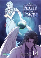 Indoor Kim, Indoor Kim, Bluepic - The Advanced Player of the Tutorial Tower 14