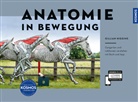 Gillian Higgins - Anatomie in Bewegung