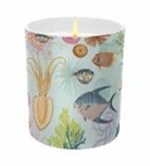 Insight Editions - Art of Nature: Under the Sea Scented Glass Candle
