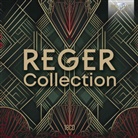 Max Reger - Reger Collection, 18 Audio-CD (Audio book)