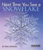 Emily Morgan - Next Time You See a Snowflake