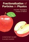 Claudio Chamon, Claudio (Professor Chamon, Chamon Claudio, Christopher Mudry, Christopher (Dr Mudry, Mudry Christopher - Fractionalization of Particles in Physics