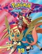 Hidenori Kusaka, Hidenori Kusaka, Satoshi Yamamoto - Pokémon: Sword & Shield, Vol. 13