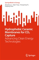 Haiping Chen, Hongming Fu, Hongming et al Fu, Zhaohao Li, Jinjin Yang - Hydrophobic Ceramic Membranes for CO2 Capture