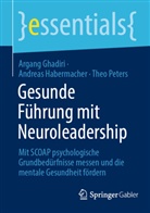 Argang Ghadiri, Andreas Habermacher, Theo Peters - Gesunde Führung mit Neuroleadership