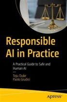 Toju Duke, Paolo Giudici - Responsible AI in Practice