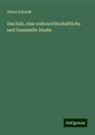 Alfred Schmidt - Das Salz, eine volkswirthschaftliche und finanzielle Studie
