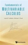 Michael J Cloud, Leonid P Lebedev, Leonid P Lebedev, Michael J Cloud Leonid P Lebedev, Michael J Cloud - Fundamentals Of Multivariable Calculus