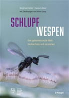 Hannes Baur, Armin Coray, Siegfried Keller, Armin Coray - Schlupfwespen
