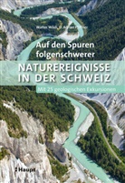 O. Adrian Pfiffner, Walter Wildi - Auf den Spuren folgenschwerer Naturereignisse in der Schweiz