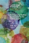 Kaan (Framingham State University) Tamayo Agartan, Kaan Ağartan, Camilo Tamayo Gomez - Reimagining Radical Democracy in the Global South