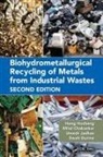 Mital Chakankar, Swati Gurme, Hong Hocheng, Hong Chakankar Hocheng, Hocheng Hong, Umesh Jadhav - Biohydrometallurgical Recycling of Metals From Industrial Wastes