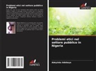 Adeyinka Adebayo - Problemi etici nel settore pubblico in Nigeria