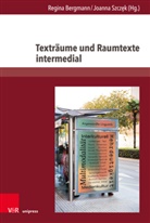 Regina Bergmann, Joanna Szcz¿k, Szczek, Joanna Szczek - Texträume und Raumtexte intermedial