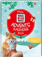 Andrea Weller-Essers - Mein WAS IST WAS Adventskalenderbuch 3