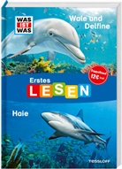 Christina Braun, Marie Gerstner, Marie Gerstner - WAS IST WAS Erstes Lesen Doppelband 4. Wale und Delfine/Haie